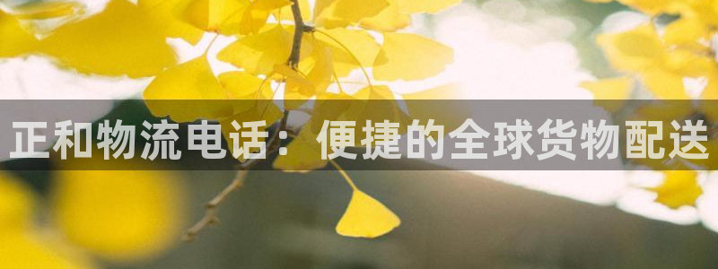 多多28辅助：正和物流电话：便捷的全
