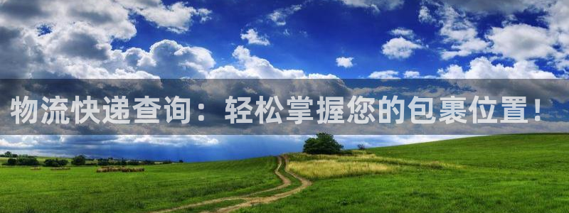 多多28分分28预测：物流快递查询：轻松掌握您的包裹位置！