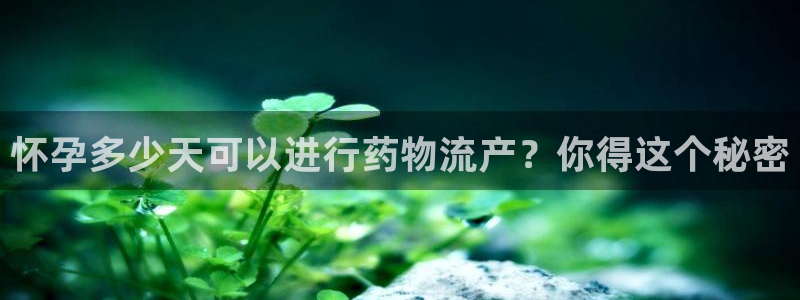 多多28注册二维码：怀孕多少天可以进