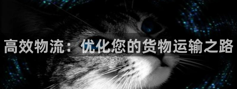 多多28初始资金密码是什么：高效物流：优化您的货物运输之路