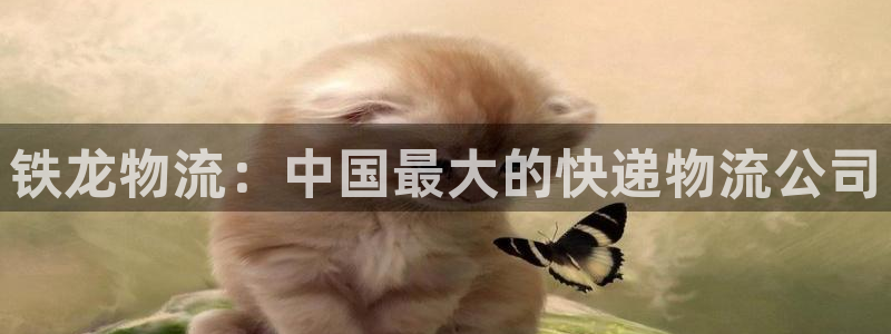 多多28APP是干什么的：铁龙物流：