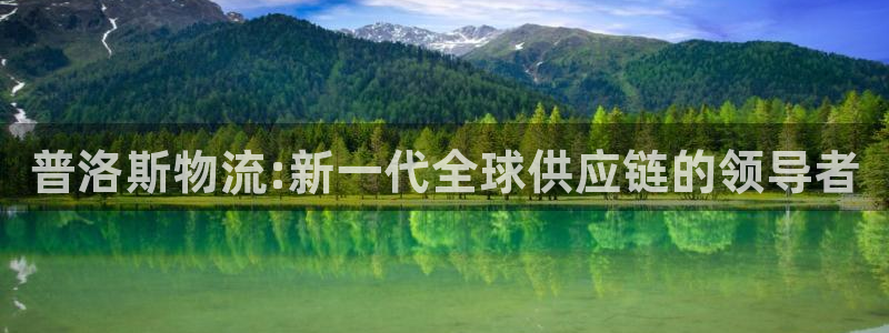 多多28链接是什么：普洛斯物流:新一