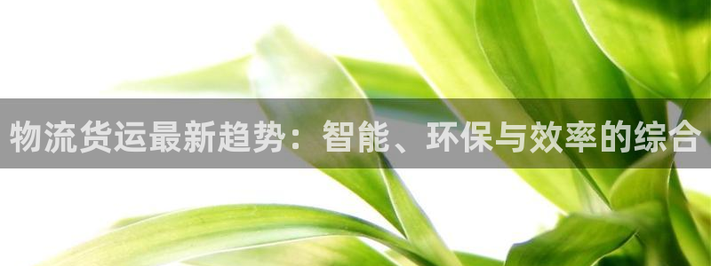 多多28系统自动保护：物流货运最新趋
