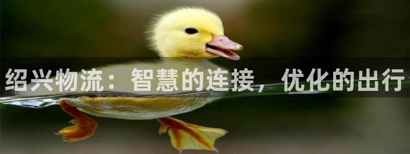 多多28官网入口官网：绍兴物流：智慧