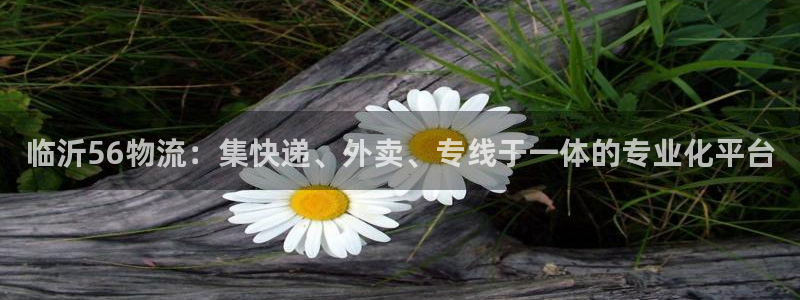 多多28下载体育：临沂56物流：集快