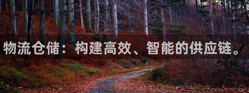 多多28充值不到账怎么办：物流仓储：