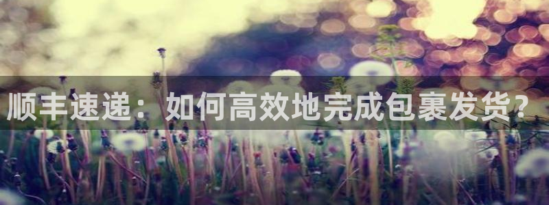 多多28官网入口app：顺丰速递：如