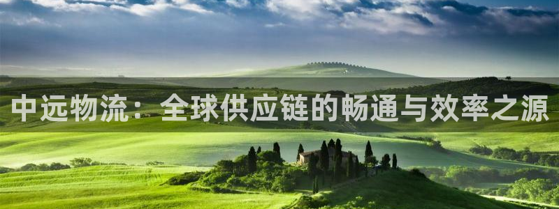 多多28注册链接：中远物流：全球供应