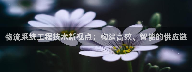 多多28机器人是什么软件：物流系统工程技术新视点：构建高效、
