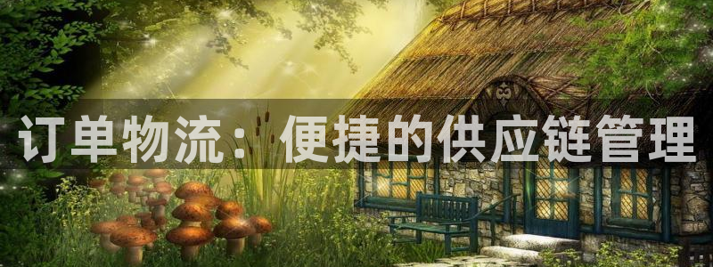 多多28麻将胡了爆分视频：订单物流：