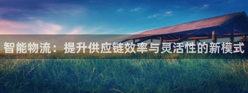 多多28官网注册：智能物流：提升供应