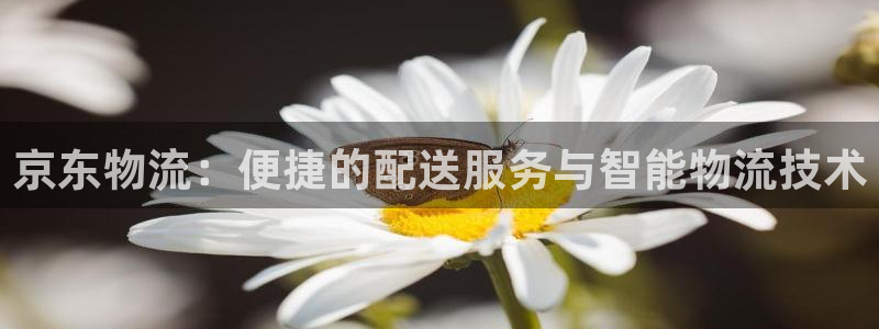 多多28加拿大2.8预测在线预测：京