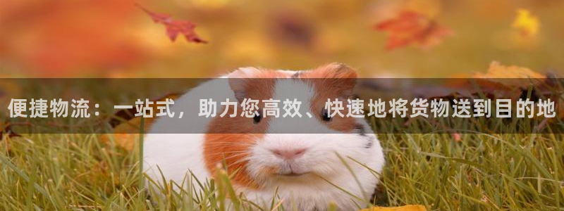 多多28麻将胡了在线试玩：便捷物流：