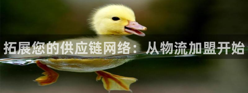 多多28农业银行是狗卡吗：拓展您的供