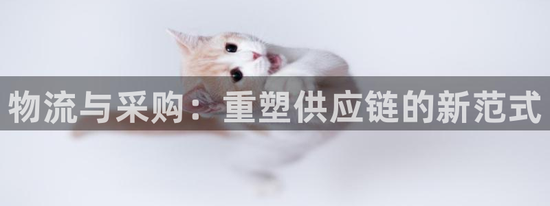 多多28官网下载链接是什么网站：物流与采购：重塑供应链的新范