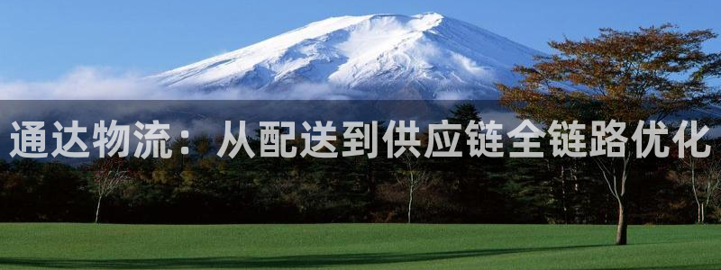 多多28官网下载链接是什么：通达物流：从配送到供应链全链路优