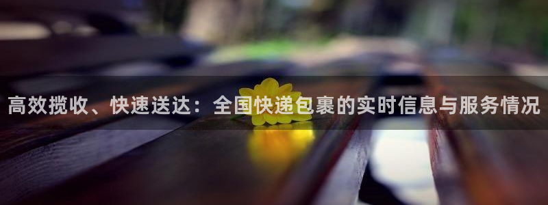 多多28app怎么注册账号：高效揽收