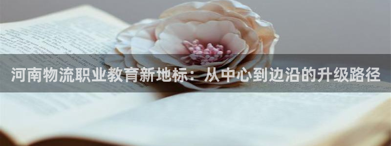 多多28官网下载多少钱一个：河南物流