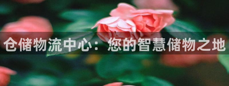 多多28的自行车：仓储物流中心：您的