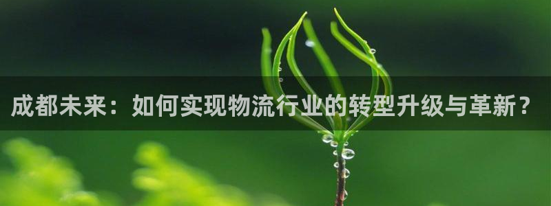 多多28官网下载：成都未来：如何实现