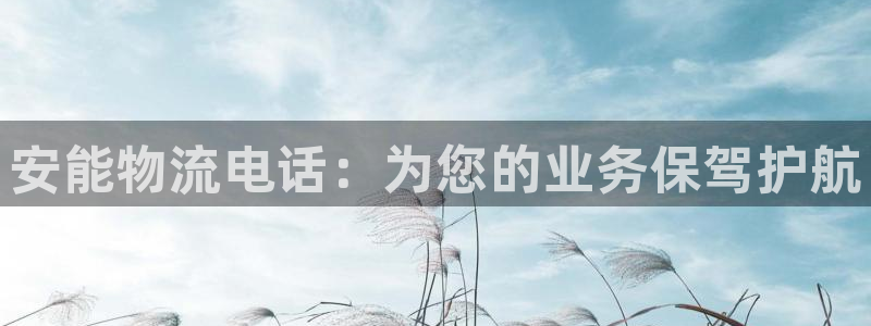 多多28比特28预测在线预测：安能物