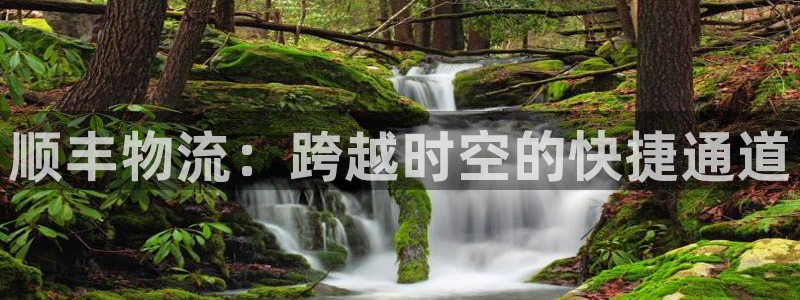 南宫多多28怎么注册：顺丰物流：跨越