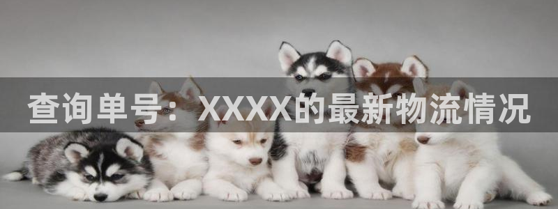 多多28麻将胡了:查询单号:XXXX