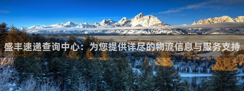 多多28初始密码在哪里修改的:盛丰速