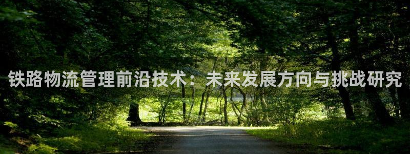 多多28官方版网站：铁路物流管理前沿