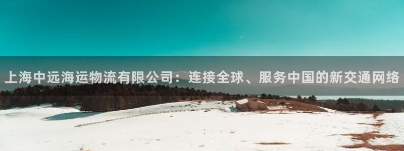 多多28麻将胡了：上海中远海运物流有