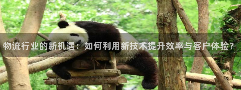 多多28的自行车：物流行业的新机遇：