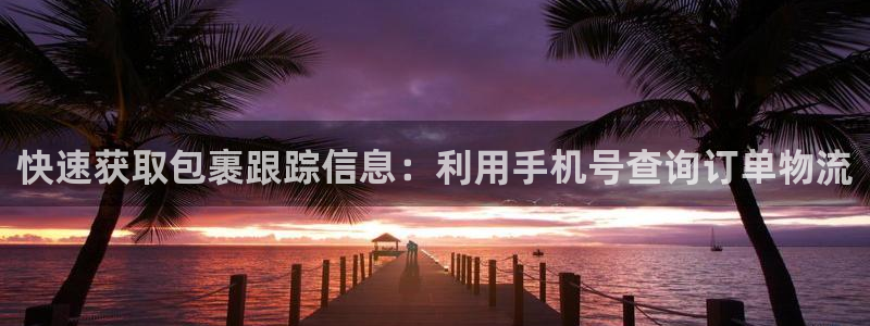 多多28官网下载链接：快速获取包裹跟