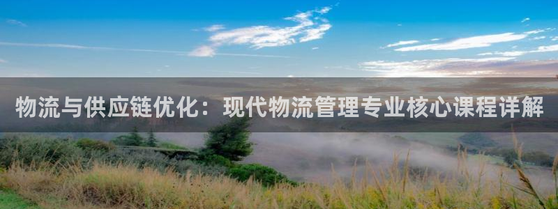 多多28加拿大开奖：物流与供应链优化