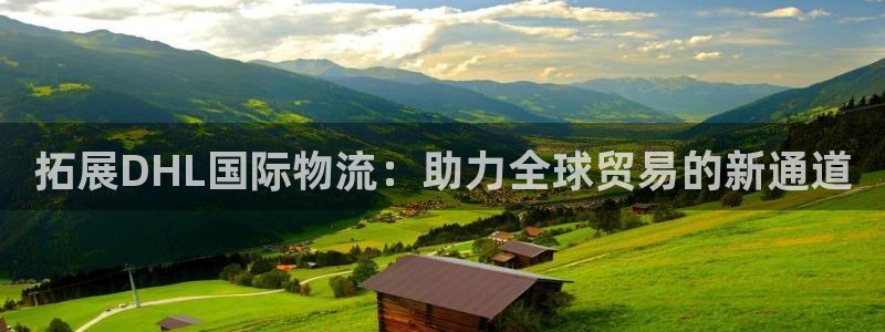 多多28客服电话：拓展DHL国际物流