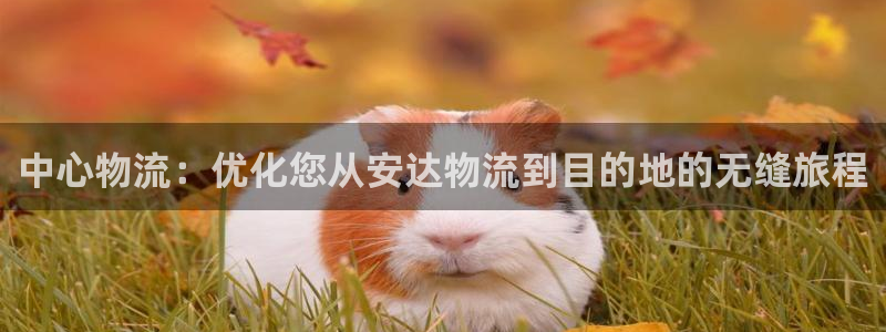 多多28下载二维码