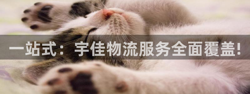 多多28加拿大是什么意思