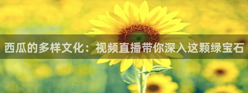 熊猫视频 直播：西瓜的多样文化：视频直播带你深入这颗绿宝石