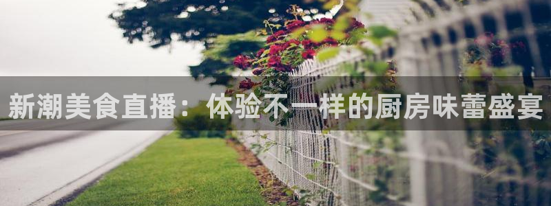 熊猫体育app官网入口：新潮美食直播：体验不一样的厨房味蕾盛宴