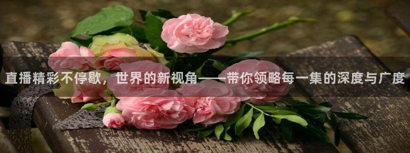 熊猫猫直播：直播精彩不停歇，世界的新视角——带你领略每一集的深度与广度