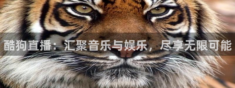 熊猫直播平台：酷狗直播：汇聚音乐与娱乐，尽享无限可能