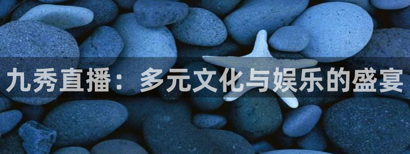熊猫nba直播视频：九秀直播：多元文化与娱乐的盛宴