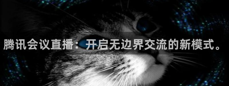 熊猫体育公园：腾讯会议直播：开启无边界交流的新模式。