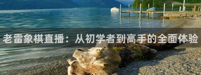 熊猫直播app下载：老雷象棋直播：从初学者到高手的全面体验