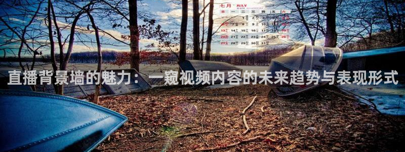熊猫的视频：直播背景墙的魅力：一窥视频内容的未来趋势与表现形式