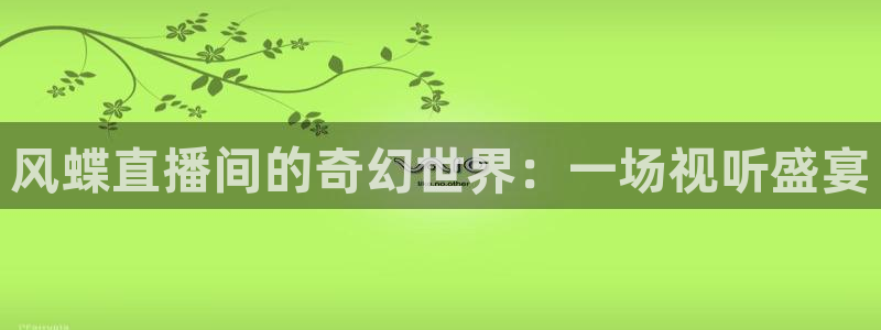 直播熊猫：风蝶直播间的奇幻世界：一场视听盛宴