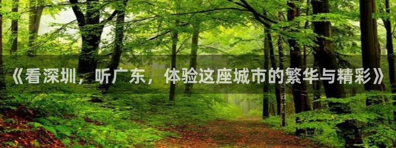 熊猫直播免费观看：《看深圳，听广东，体验这座城市的繁华与精彩》