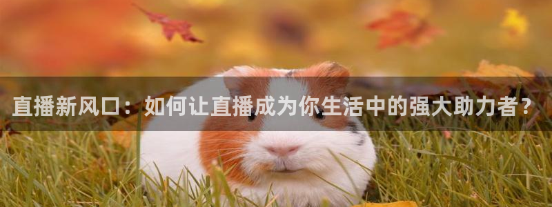 中山熊猫体育：直播新风口：如何让直播成为你生活中的强大助力者？