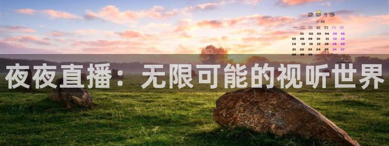 熊猫体育免费直播：夜夜直播：无限可能的视听世界
