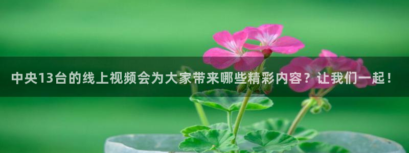 熊猫视频搞笑：中央13台的线上视频会为大家带来哪些精彩内容？让我们一起！