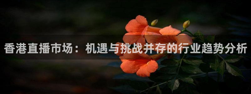 熊猫猫直播：香港直播市场：机遇与挑战并存的行业趋势分析
